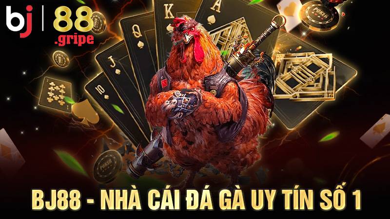 BJ88 nhà cái Đá gà Casino uy tín số 1